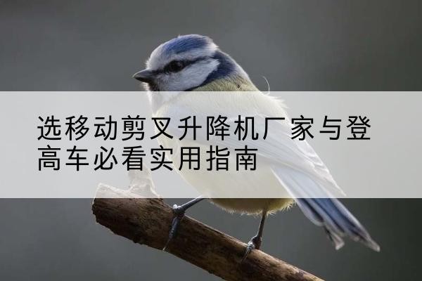 河源电动升降机厂家-选移动剪叉升降机厂家与登高车必看实用指南