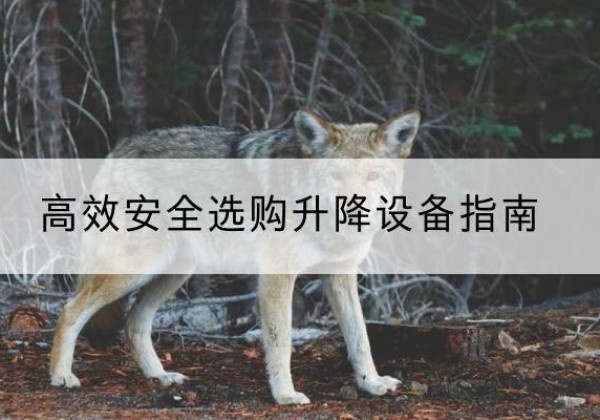 河源升降货梯厂家推荐-*安全选购升降设备指南
